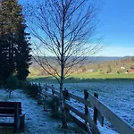 Mon Beau Sapin Lisiere De Foret - Vue Montagne - Gerardmer Chalet
