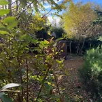 샬레 Bois Au Calme, En Lisiere De Foret, Balcons, Sentiers Balades Gerardmer & Alsace 