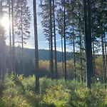 Mon Beau Sapin Lisiere De Foret - Vue Montagne - Gerardmer Chalet *