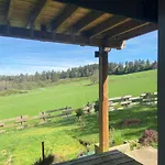 Bois Au Calme, En Lisiere De Foret, Balcons, Sentiers Balades Gerardmer & Alsace 