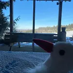 Bois Au Calme, En Lisiere De Foret, Balcons, Sentiers Balades Gerardmer & Alsace 