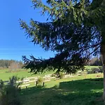 Chalet Bois Au Calme, En Lisiere De Foret, Balcons, Sentiers Balades Gerardmer & Alsace 