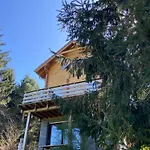 Mon Beau Sapin Lisiere De Foret - Vue Montagne - Gerardmer Chalet Anould