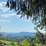 Mon Beau Sapin Lisiere De Foret - Vue Montagne - Gerardmer Anould