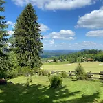 Bois Au Calme, En Lisiere De Foret, Balcons, Sentiers Balades Gerardmer & Alsace 