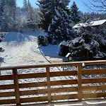Mon Beau Sapin Lisiere De Foret - Vue Montagne - Gerardmer *