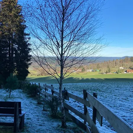 Mon Beau Sapin Lisière De Forêt - Vue Montagne - Gerardmer Chalé