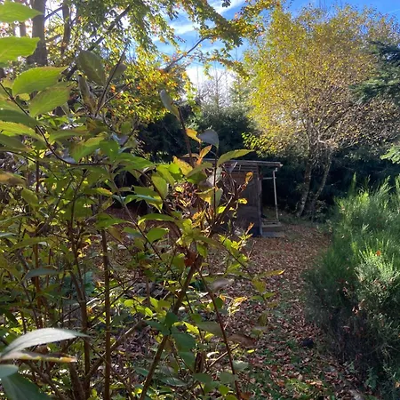 Σαλέ Authentique Au Calme, En Lisiere De Foret, Montagne, Sentiers 15mn Gerardmer & Alsace 