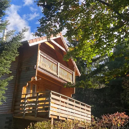 Horská chata Mon Beau Sapin Lisiere De Foret - Vue Montagne - Gerardmer *