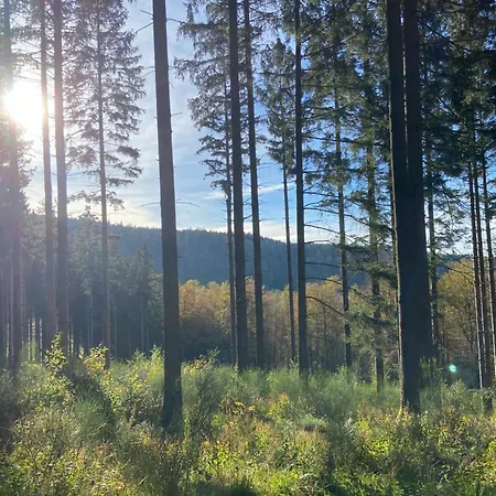 Mon Beau Sapin Lisière De Forêt - Vue Montagne - Gerardmer Chalé *