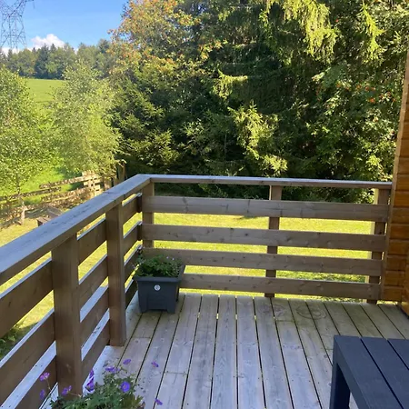 Mon Beau Sapin Lisiere De Foret - Vue Montagne - Gerardmer