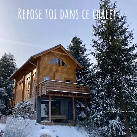 Mon Beau Sapin Lisiere De Foret - Vue Montagne - Gerardmer