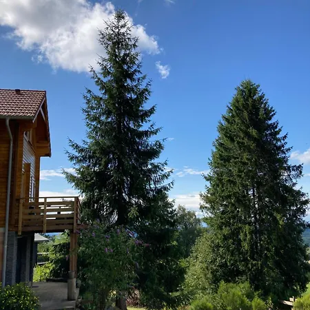 Mon Beau Sapin Lisière De Forêt - Vue Montagne - Gerardmer Chalé