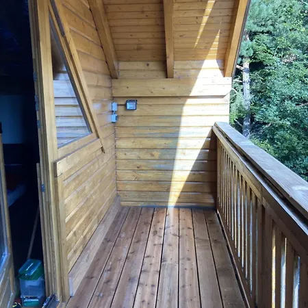 Mon Beau Sapin Lisiere De Foret - Vue Montagne - Gerardmer *