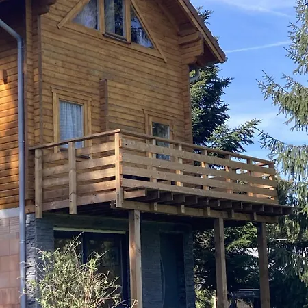 Mon Beau Sapin Lisiere De Foret - Vue Montagne - Gerardmer Anould