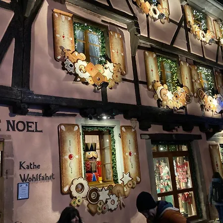 Bois Au Calme, En Lisiere De Foret, Balcons, Sentiers Balades Gerardmer & Alsace 