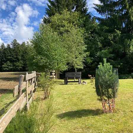 Chalet Authentique Au Calme, En Lisiere De Foret, Montagne, Sentiers 15mn Gerardmer & Alsace 