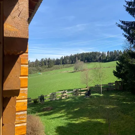 Mon Beau Sapin Lisiere De Foret - Vue Montagne - Gerardmer * Anould