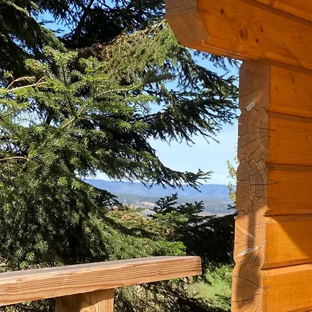 Mon Beau Sapin Lisiere De Foret - Vue Montagne - Gerardmer