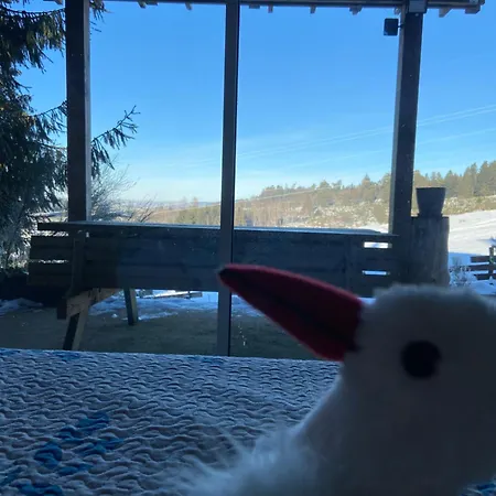 Authentique Au Calme, En Lisiere De Foret, Montagne, Sentiers 15mn Gerardmer & Alsace 