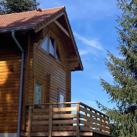Authentique Au Calme, En Lisiere De Foret, Montagne, Sentiers 15mn Gerardmer & Alsace 