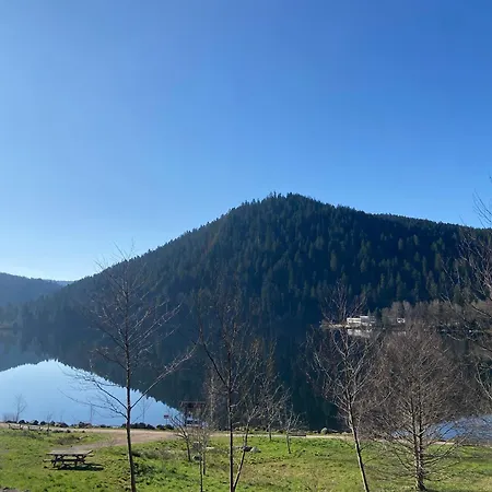 Chalet Mon Beau Sapin Lisiere De Foret - Vue Montagne - Gerardmer