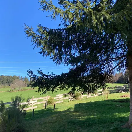 Chalet Mon Beau Sapin Lisière De Forêt - Vue Montagne - Gerardmer