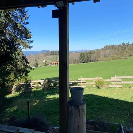 Mon Beau Sapin Lisiere De Foret - Vue Montagne - Gerardmer
