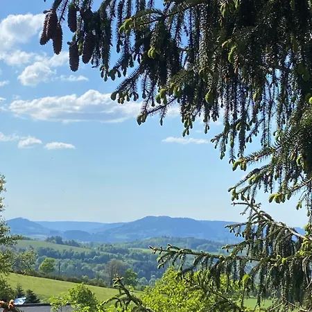 Mon Beau Sapin Lisiere De Foret - Vue Montagne - Gerardmer Anould
