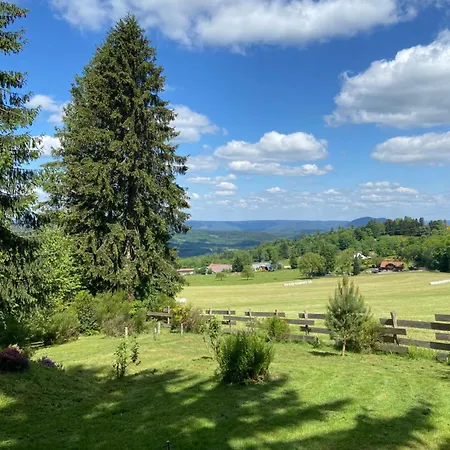 Mon Beau Sapin Lisiere De Foret - Vue Montagne - Gerardmer