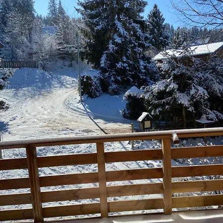 Mon Beau Sapin Lisiere De Foret - Vue Montagne - Gerardmer *