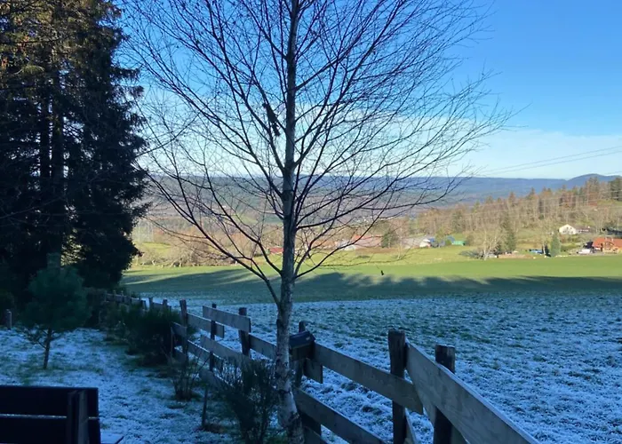 Bois Au Calme, En Lisiere De Foret, Balcons, Sentiers Balades Gerardmer & Alsace 