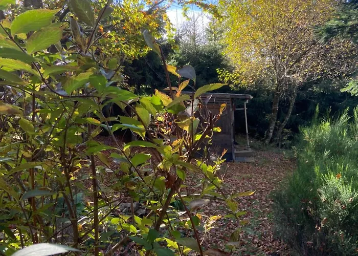 샬레 Bois Au Calme, En Lisiere De Foret, Balcons, Sentiers Balades Gerardmer & Alsace 