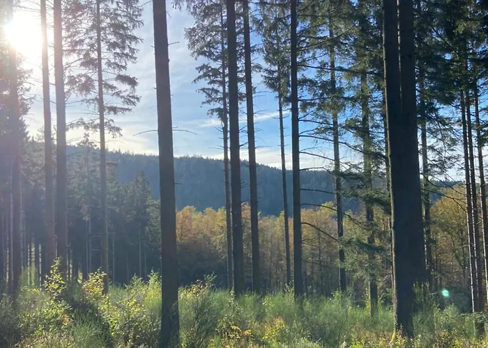 Bois Au Calme, En Lisiere De Foret, Balcons, Sentiers Balades Gerardmer & Alsace 