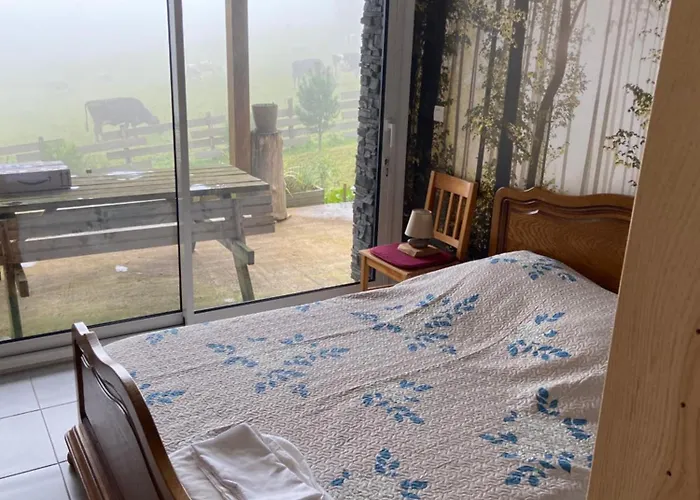 Bois Au Calme, En Lisiere De Foret, Balcons, Sentiers Balades Gerardmer & Alsace 