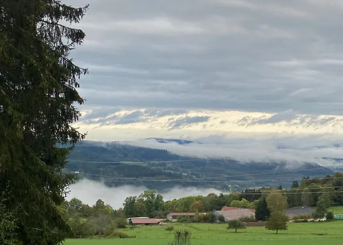 Bois Au Calme, En Lisiere De Foret, Balcons, Sentiers Balades Gerardmer & Alsace 