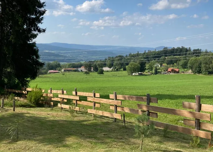 Bois Au Calme, En Lisiere De Foret, Balcons, Sentiers Balades Gerardmer & Alsace 