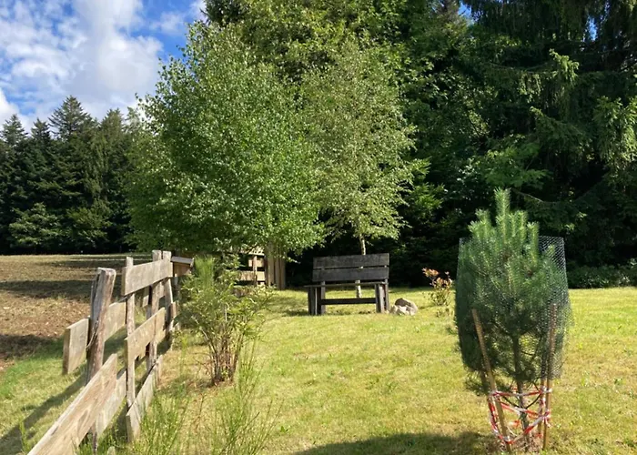 샬레 Bois Au Calme, En Lisiere De Foret, Balcons, Sentiers Balades Gerardmer & Alsace 
