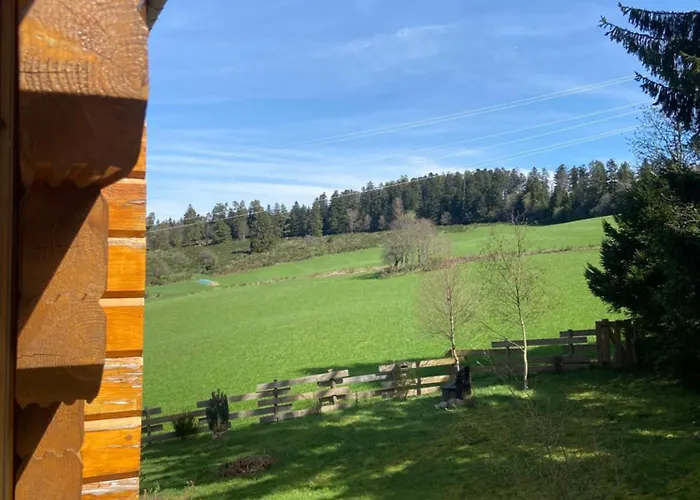 Bois Au Calme, En Lisiere De Foret, Balcons, Sentiers Balades Gerardmer & Alsace 
