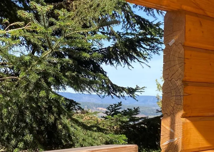 Bois Au Calme, En Lisiere De Foret, Balcons, Sentiers Balades Gerardmer & Alsace 