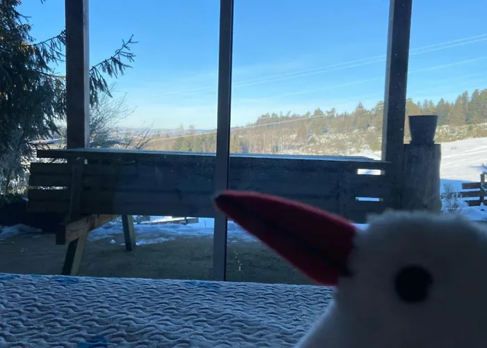 Bois Au Calme, En Lisiere De Foret, Balcons, Sentiers Balades Gerardmer & Alsace 