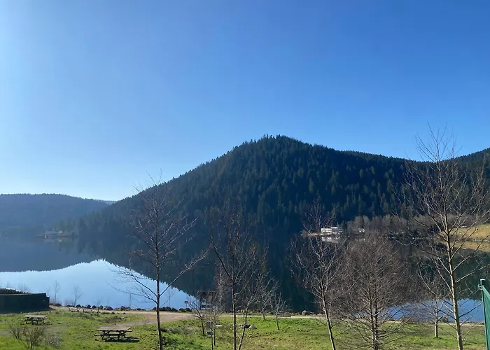 샬레 Bois Au Calme, En Lisiere De Foret, Balcons, Sentiers Balades Gerardmer & Alsace 