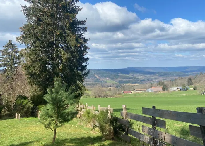 샬레 Bois Au Calme, En Lisiere De Foret, Balcons, Sentiers Balades Gerardmer & Alsace 