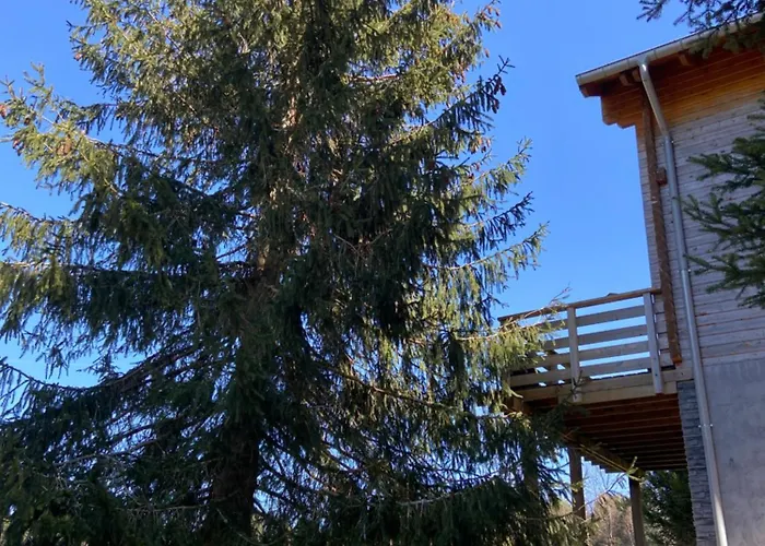 Bois Au Calme, En Lisiere De Foret, Balcons, Sentiers Balades Gerardmer & Alsace 