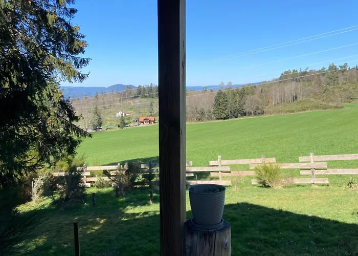 Bois Au Calme, En Lisiere De Foret, Balcons, Sentiers Balades Gerardmer & Alsace 