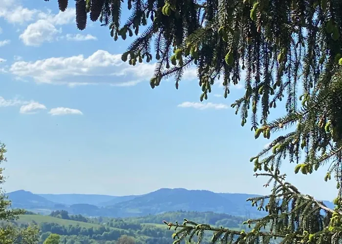 Bois Au Calme, En Lisiere De Foret, Balcons, Sentiers Balades Gerardmer & Alsace 