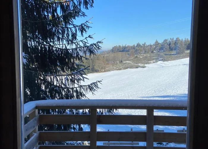 샬레 Bois Au Calme, En Lisiere De Foret, Balcons, Sentiers Balades Gerardmer & Alsace 