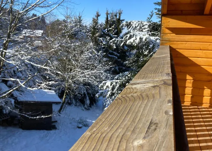 Bois Au Calme, En Lisiere De Foret, Balcons, Sentiers Balades Gerardmer & Alsace 